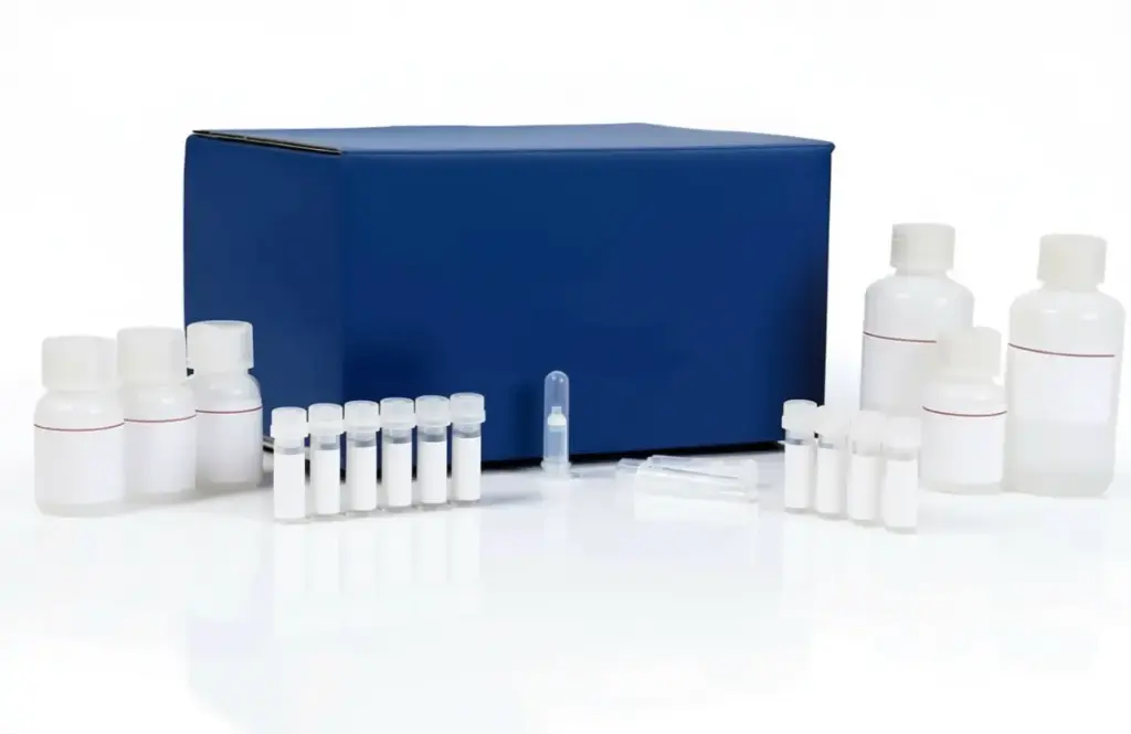  Catalase Activity Assay Kit (Colorimetric/Fluorometric)