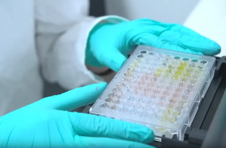 Human HGF ELISA Kit