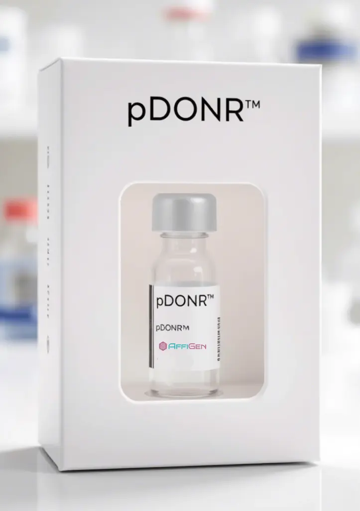 pDONR221/ Kanamycin Plasmid