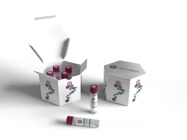 Mycoplasma ELISA KIT|Human  