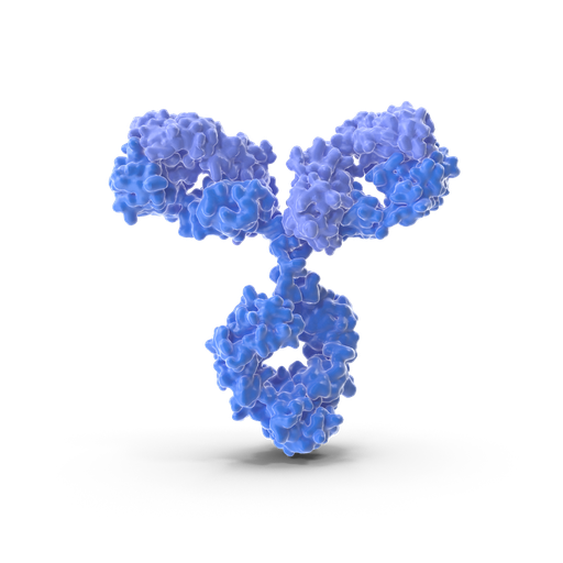[ABF6292] VHL Antibody - 100µg