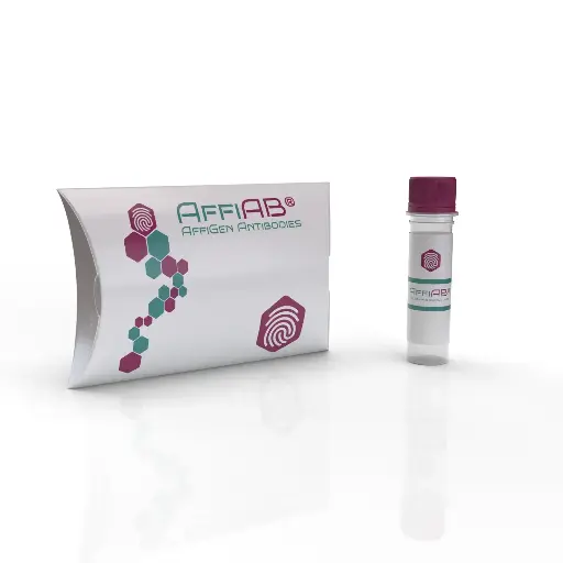 [BF0019] human Splunc2 antibody