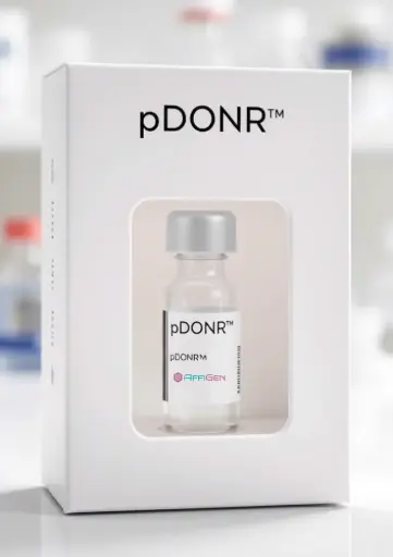 [PVT3100] pDONR221/ Kanamycin Plasmid