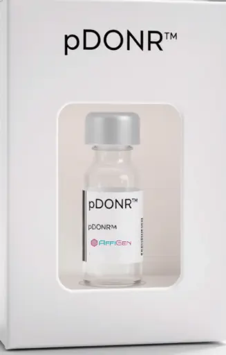 [PVT3101] pDONR221/ Zeo Plasmid