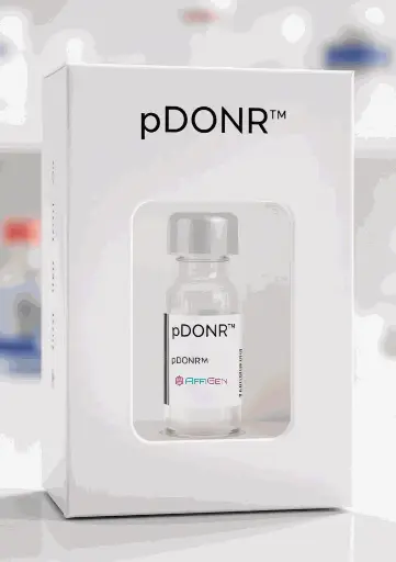 [PVT7143] pDonR233- EGFlAM Plasmid