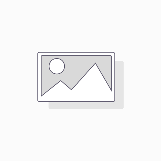 [PVTB00776] pDONR223-MICA Plasmid