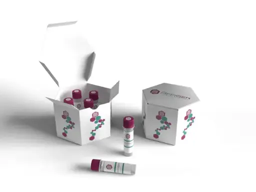 [EF007288] Mycoplasma ELISA KIT|Human  
